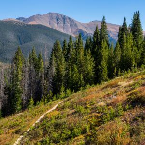 Perry's Peak in the fall with a view of the bike trails at Winter Park Resort