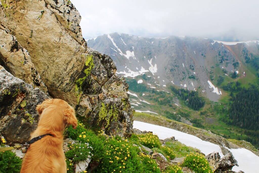 , Featured Hike: Byers Peak
