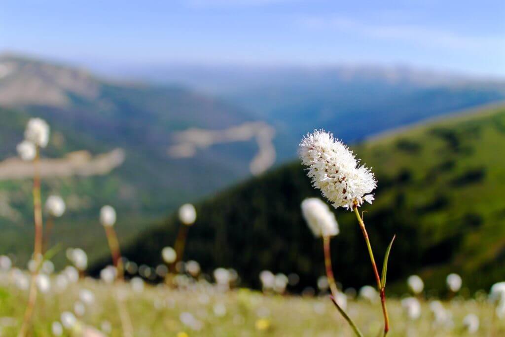 adventure, Adventure Couple Itinerary