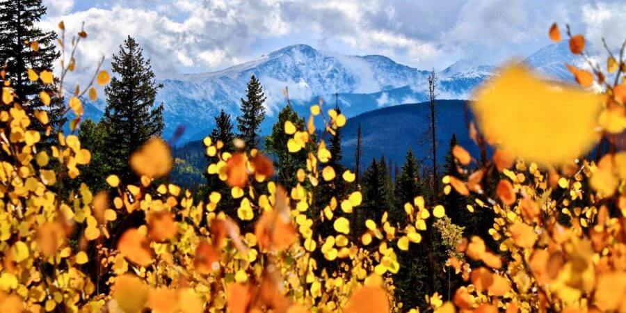 , Top 10 Fall Must Dos in Winter Park