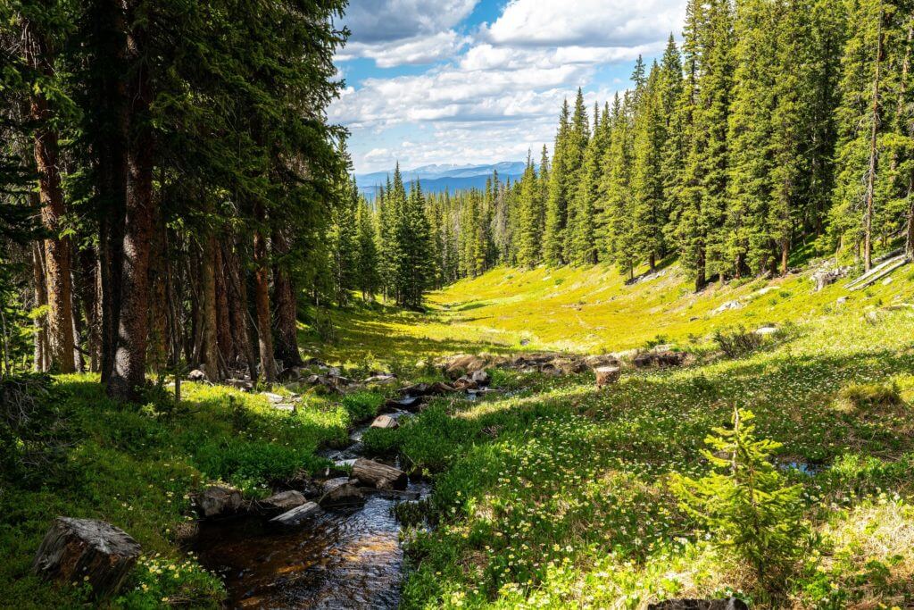 , 5 Fall Days in Winter Park