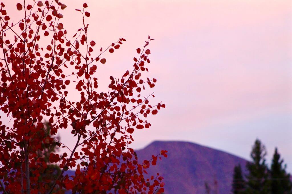 , 5 Fall Days in Winter Park