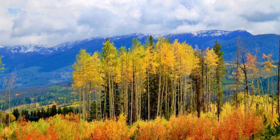 , 5 Fall Days in Winter Park