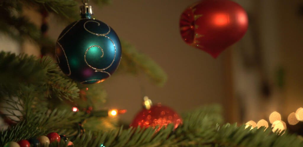 December, Top 7 Reasons to Visit Winter Park in December