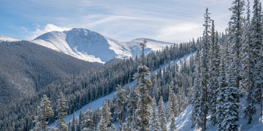 December, Top 7 Reasons to Visit Winter Park in December