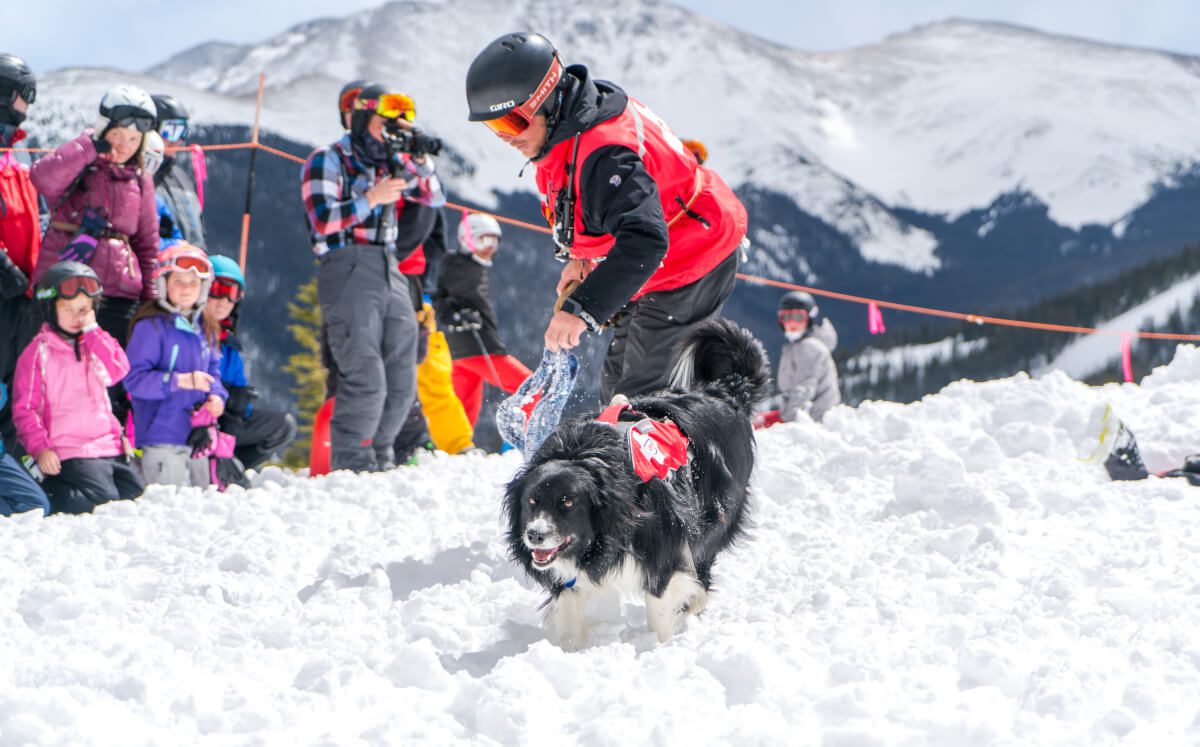 , Meet Winter Park’s Avalanche Rescue Dogs