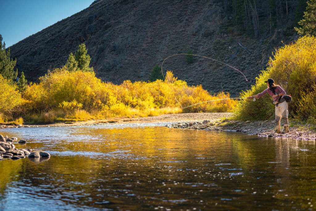 Fly fishing in Rocky Mountain national Park