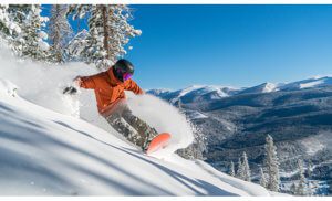 , Top 10 MUST DOs in Winter Park