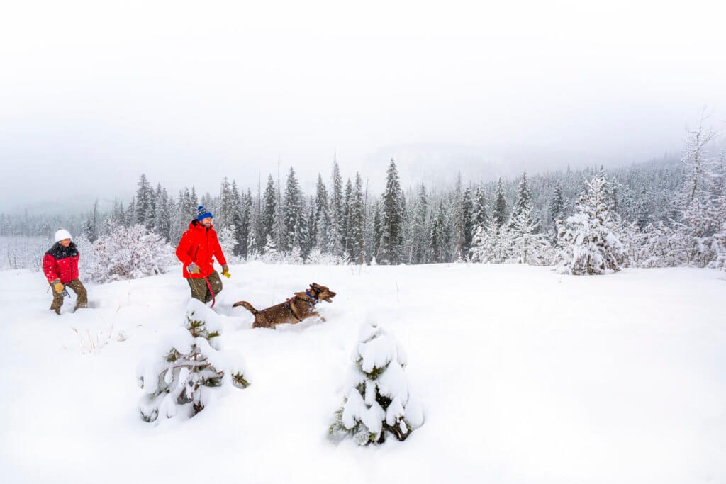 Pup, Dog-Friendly Trips In Winter Park