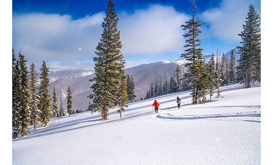 Powder Day, Your Guide to the Perfect Powder Day