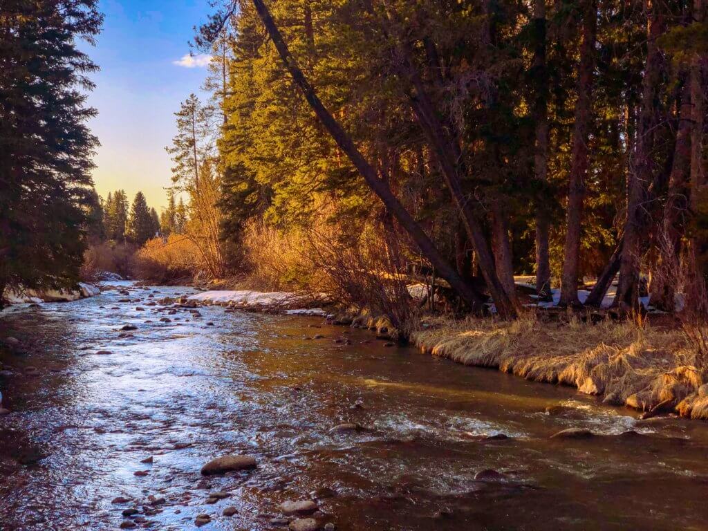 best things to do in winter park, Hidden Gems of Winter Park – Summer Edition