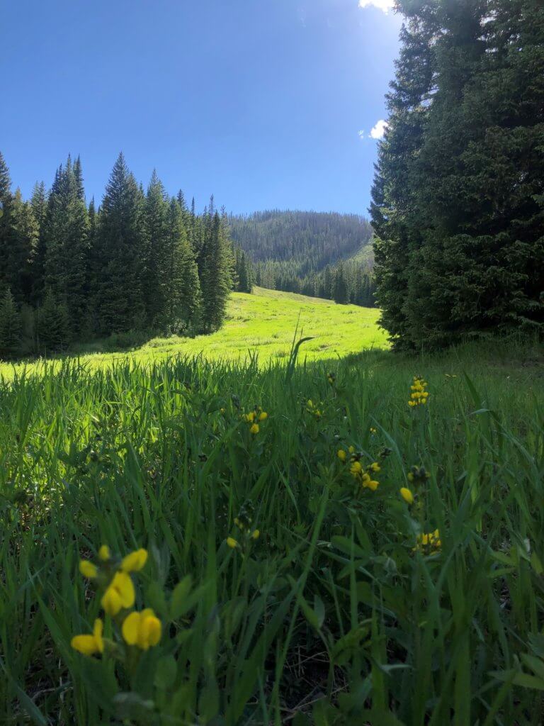 best things to do in winter park, 100 Things to Do in Winter Park This Summer