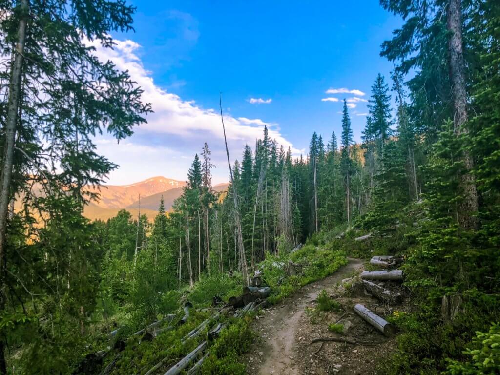 best things to do in winter park, Hidden Gems of Winter Park – Summer Edition