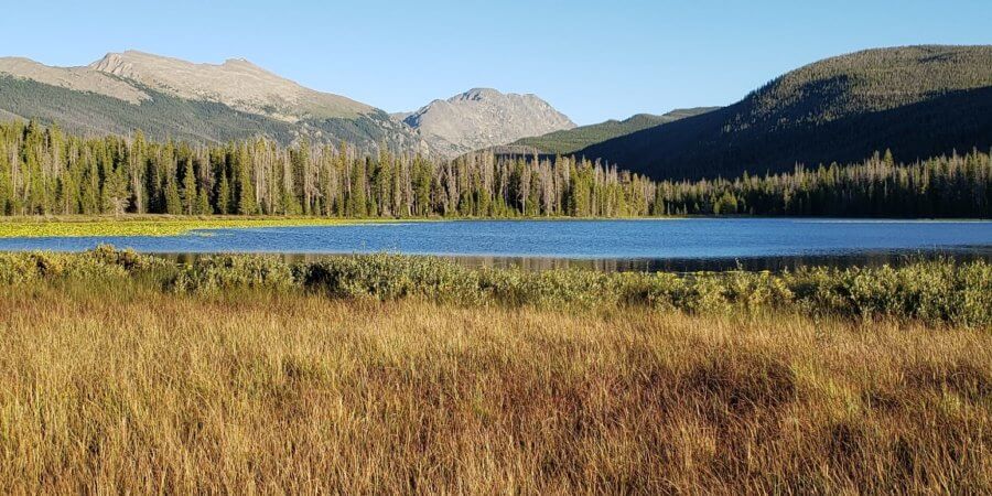best things to do in winter park, Hidden Gems of Winter Park &#8211; Summer Edition