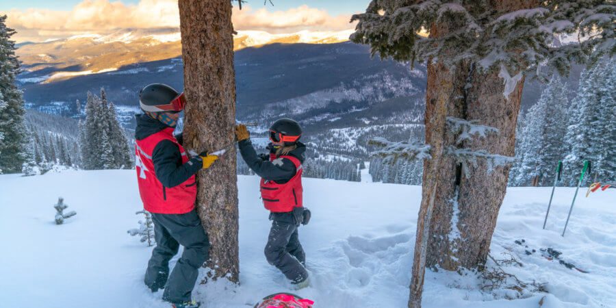 , Venture Out: Aspiring To The Next Level