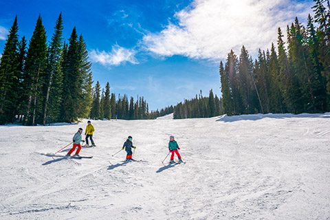 , Venture Out: Seeking New & Different