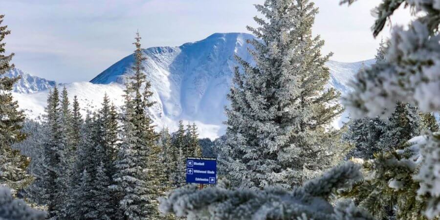 to do in winter park, 100 Things To Do In Winter Park This Winter