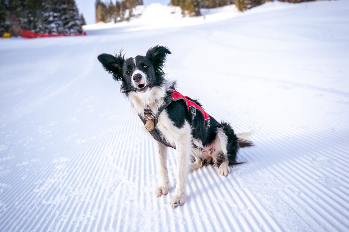 to do in winter park, 100 Things To Do In Winter Park This Winter