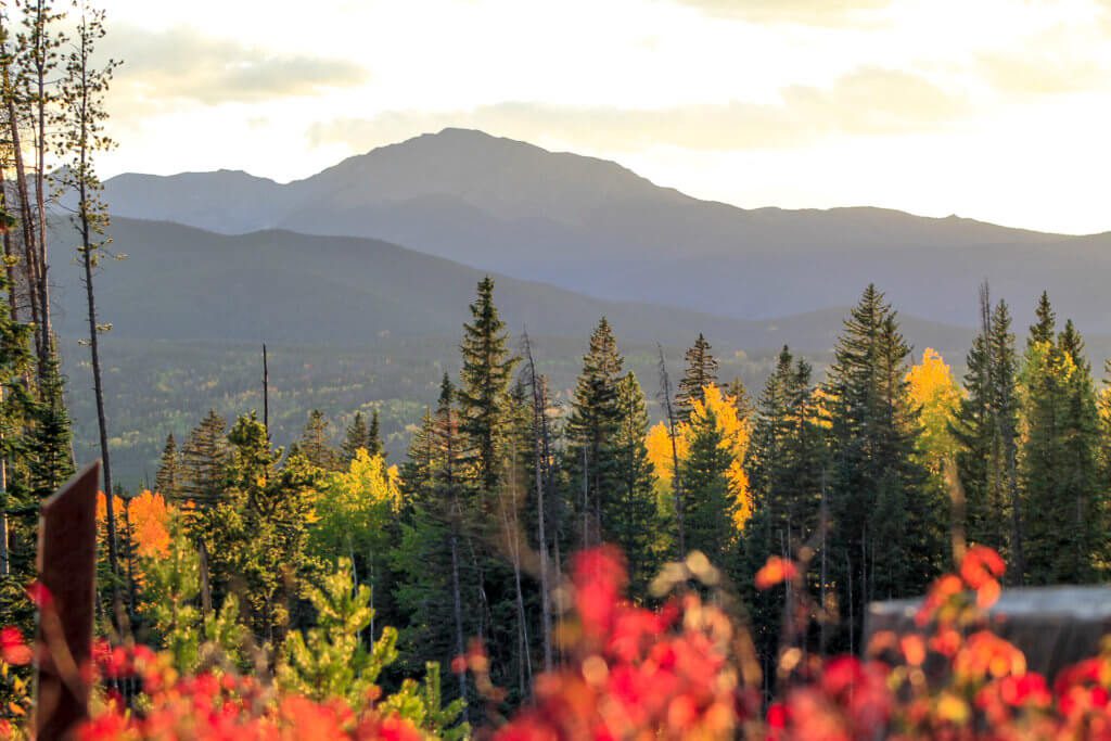 , Winter Park Leaf Peeping Guide