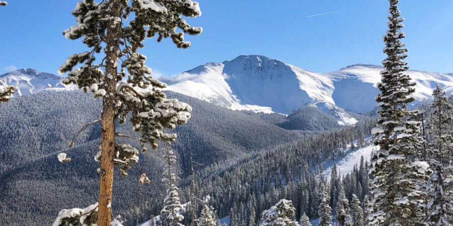 , What&#8217;s New This Winter 20/21