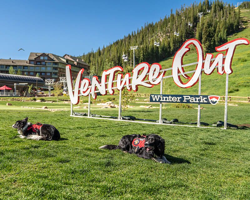 , Dog-Friendly Summer Guide To Winter Park