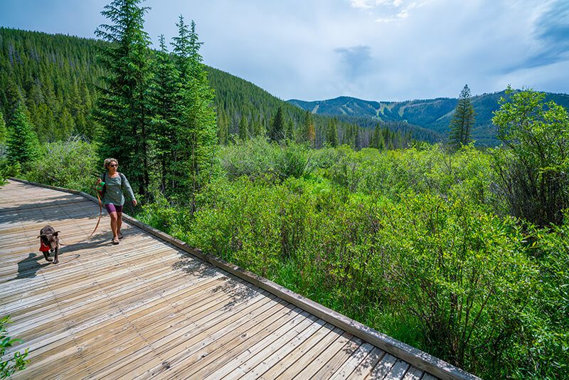 dog-friendly, 4 Dog-Friendly Hikes in Winter Park