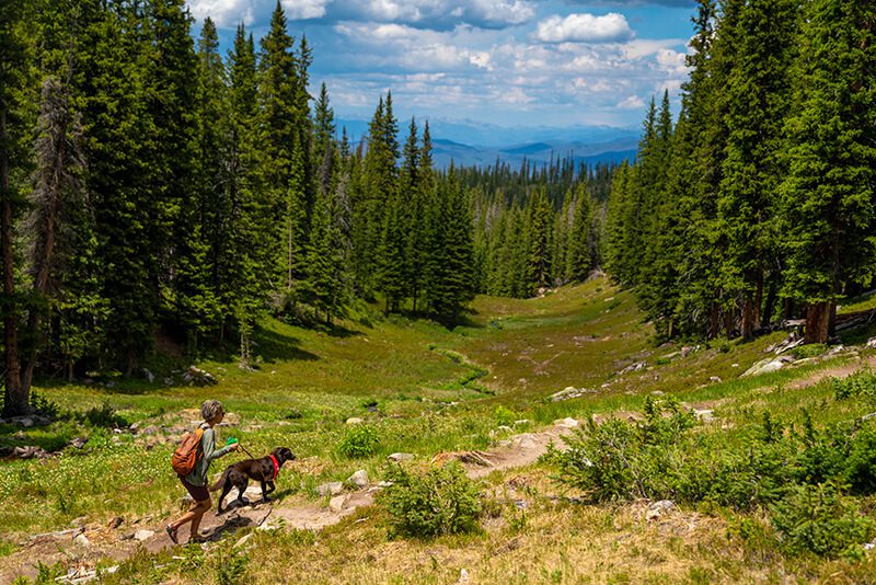 dog-friendly, 4 Dog-Friendly Hikes in Winter Park