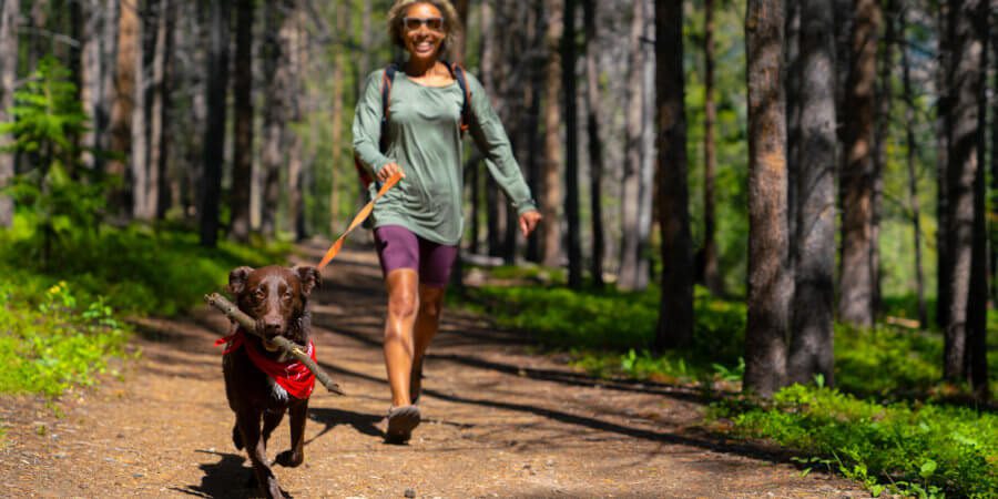 dog-friendly, 4 Dog-Friendly Hikes in Winter Park