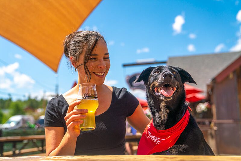 , Five Perfect Days with Your Pup