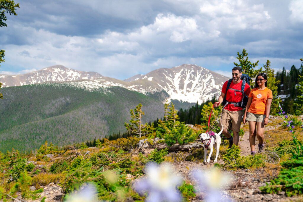 , High Elevation Hiking Tips For Beginners
