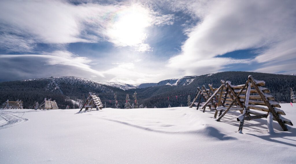 , Best Photo Spots in Winter Park This Winter