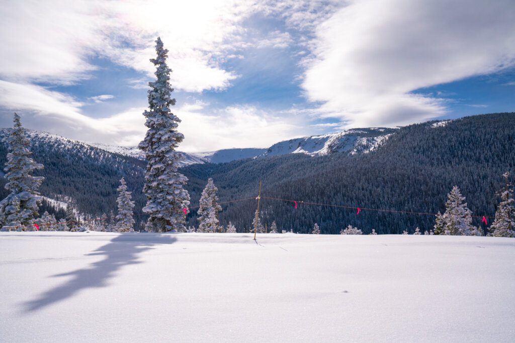 , Best Photo Spots in Winter Park This Winter